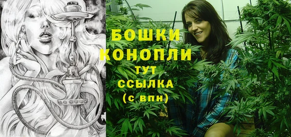 прущий лед Верея