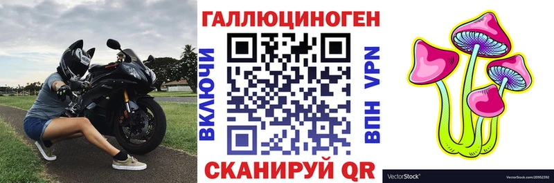 Галлюциногенные грибы MAGIC MUSHROOMS  где купить   ОМГ ОМГ ссылки  Малаховка 